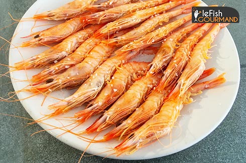 Crevettes de Méditerranée "Gamba blanca" comme en Espagne lefishgourmand